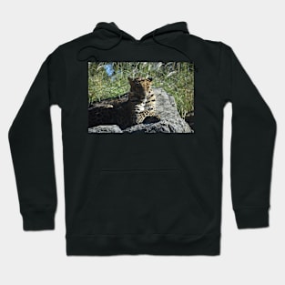 African Leopard Hoodie